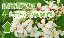 �e�����u