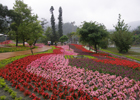 �O�_��ڪ�c�����|